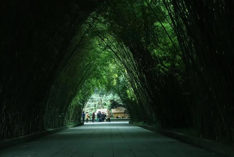 望江公园：竹韵悠扬的历史文化胜地