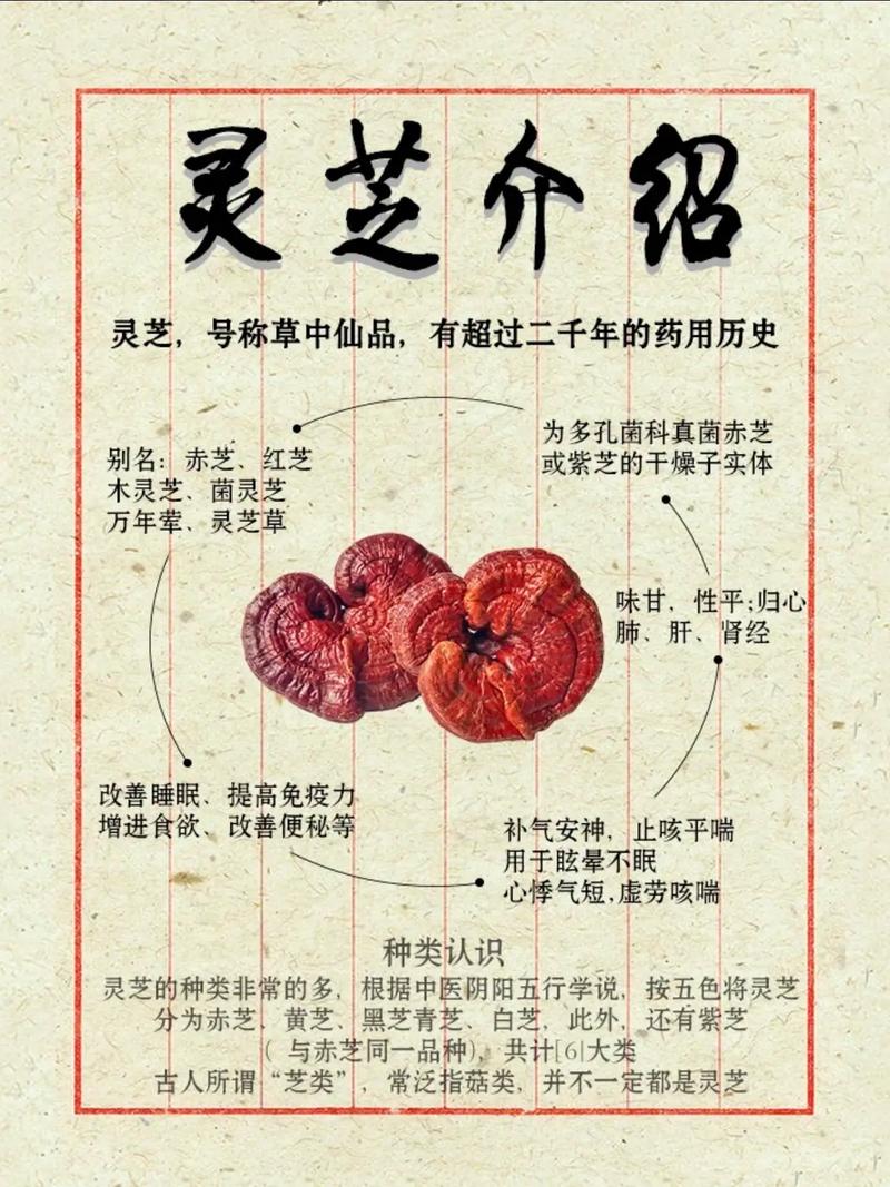 以下是为您生成的一篇关于灵芝养生功效的文章：