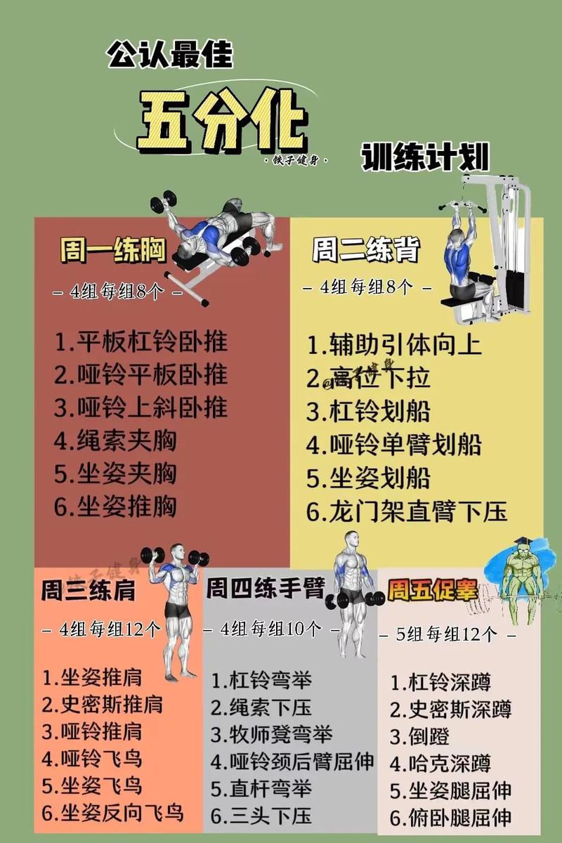 力量训练的项目：探索身体潜能的多元路径