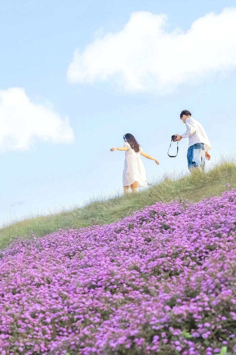浪漫花海中的爱之影像