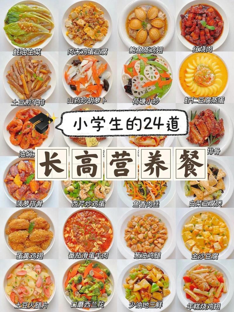 孩子营养午餐：助力成长的美味能量站