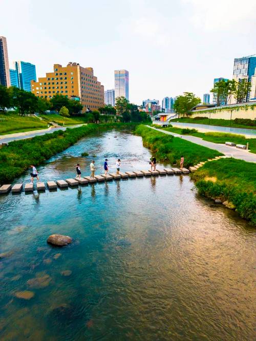 探秘龙岗河碧道：城市生态画卷的璀璨华章