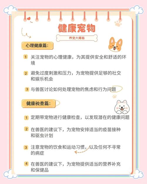 宠物健康状况全解析：守护毛孩子的健康宝藏