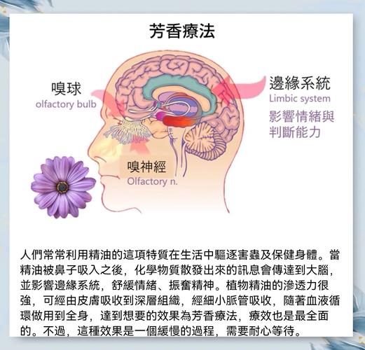 面部精油的使用方法,面部精油的使用方法视频教程
